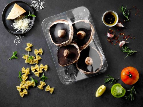 Picture showing a packaging tray with meat covered by flexible film made by kp