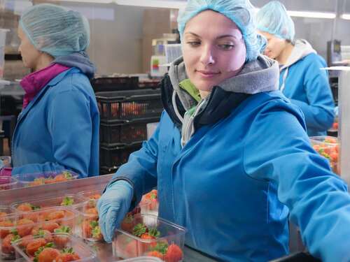 Keeping food fresher and safer – for longer