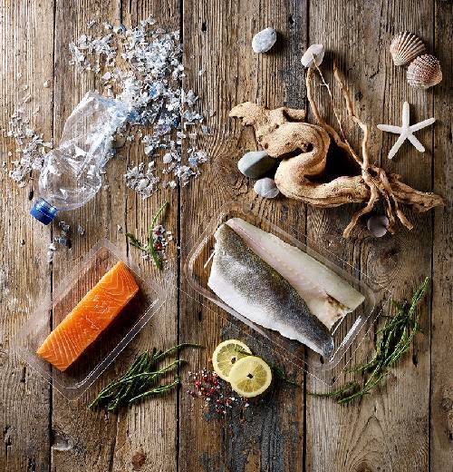 Recycled Ocean Plastics
