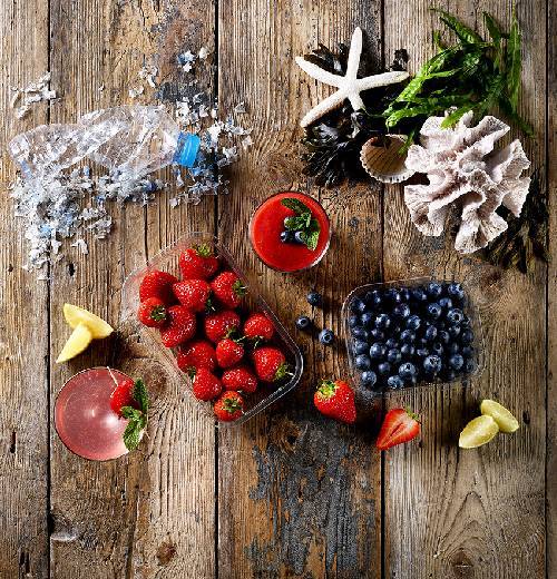 Recycled Ocean Plastics